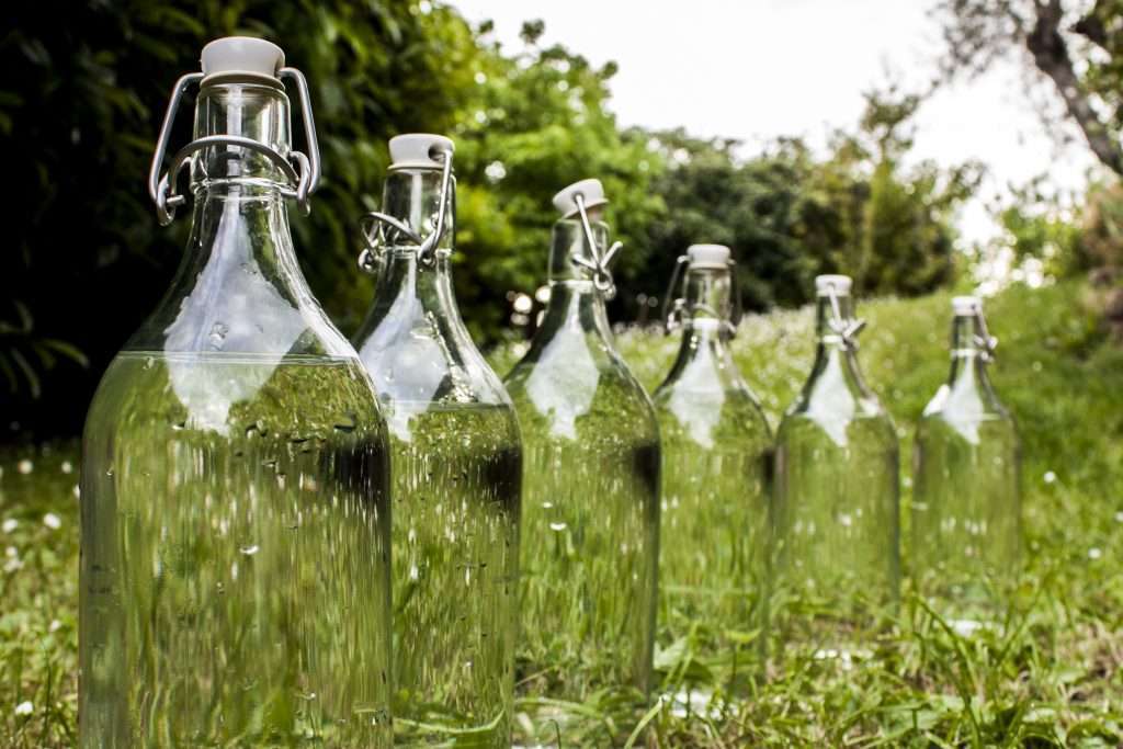 Row of empty glass bottles with flip-top lids on grass in Boise.