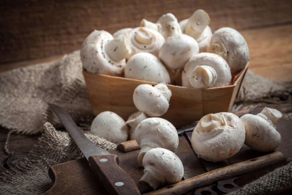 Mushrooms as alternative medicine option