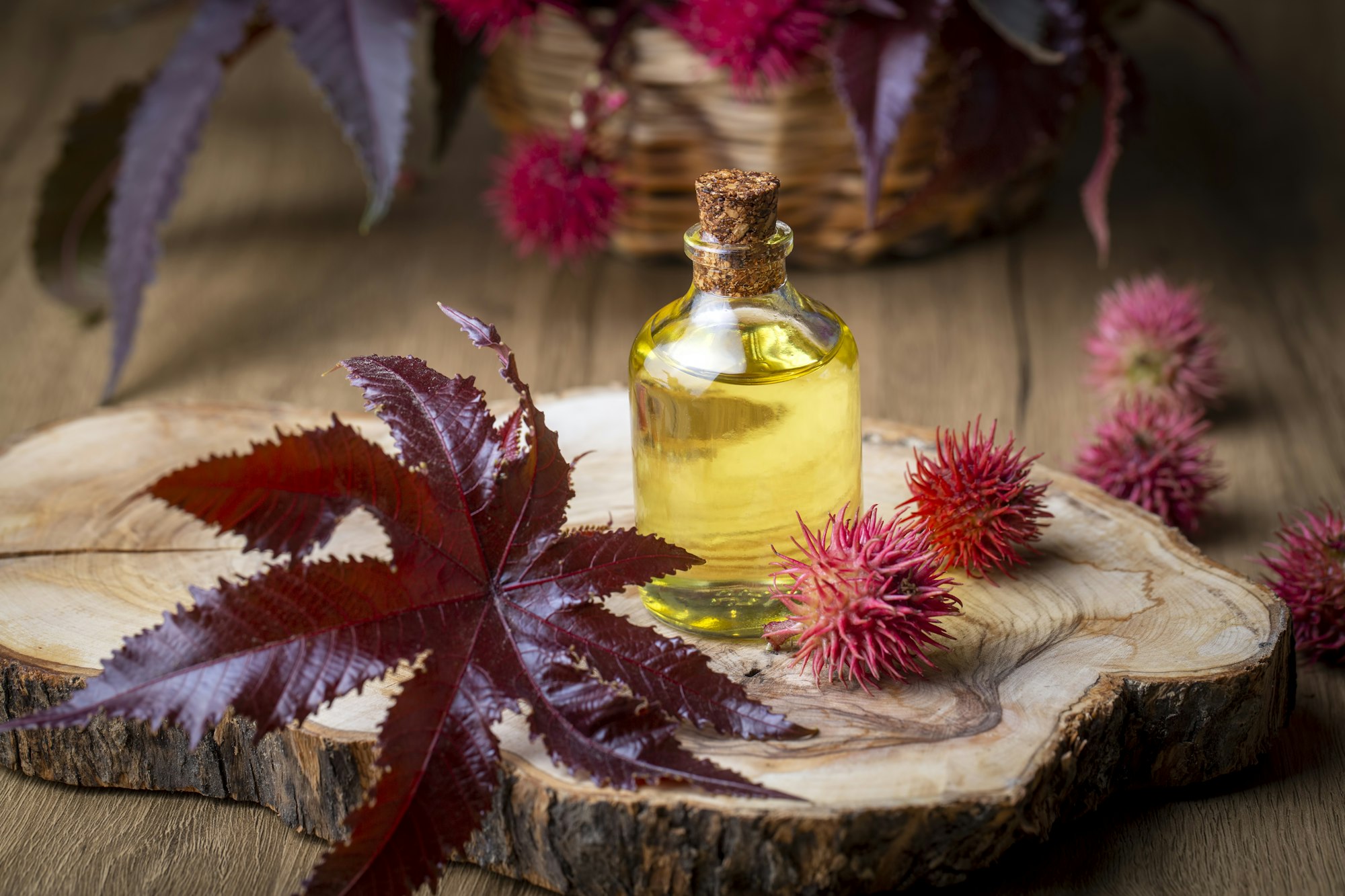 The Wonders of Castor Oil Packs: How To and Why | Virasoap Natural Medicine